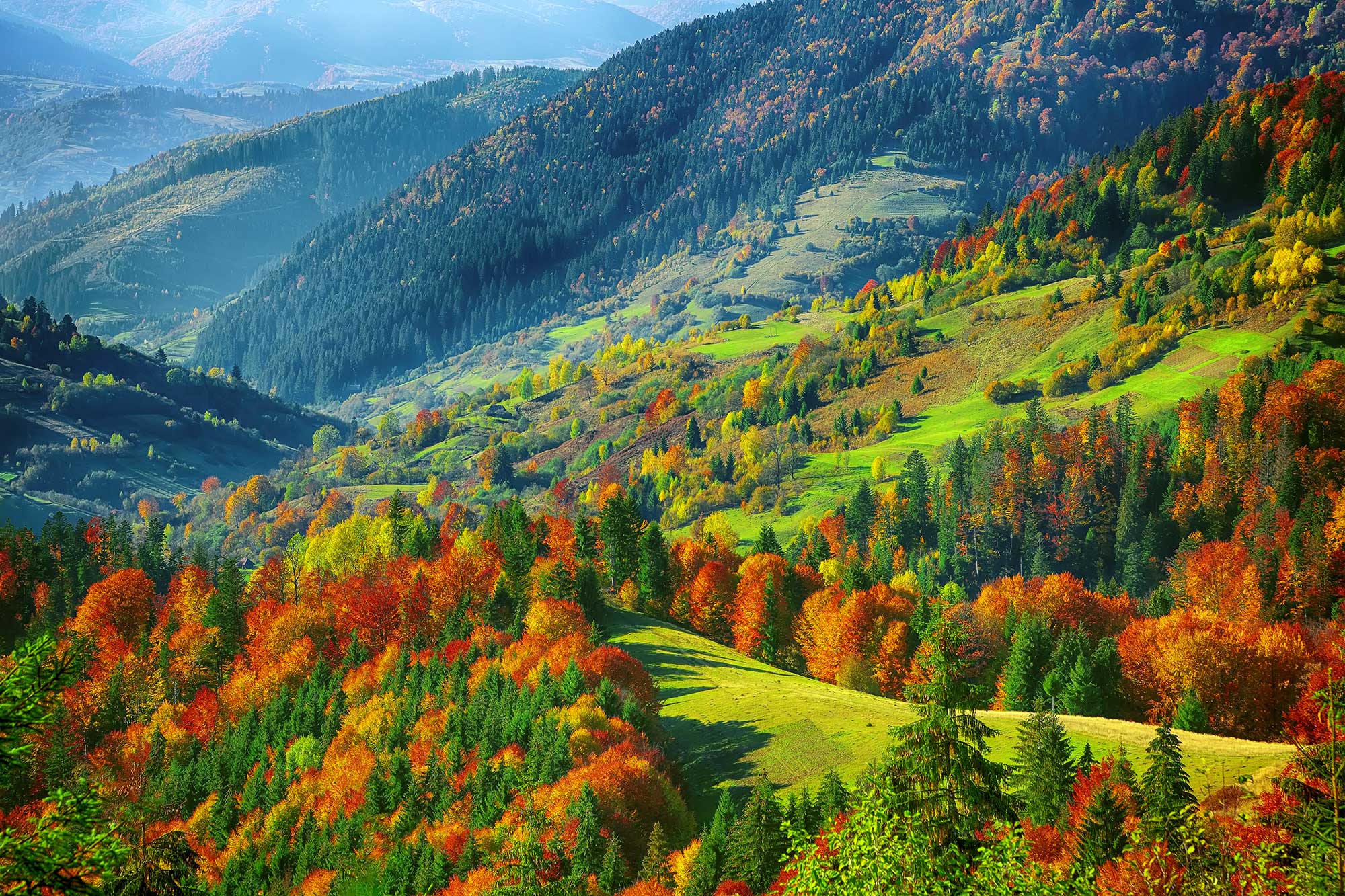 0039 Natural Lands
