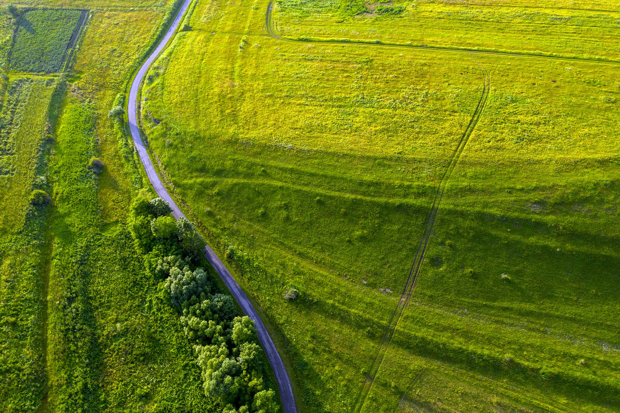 0051 Ranchlands