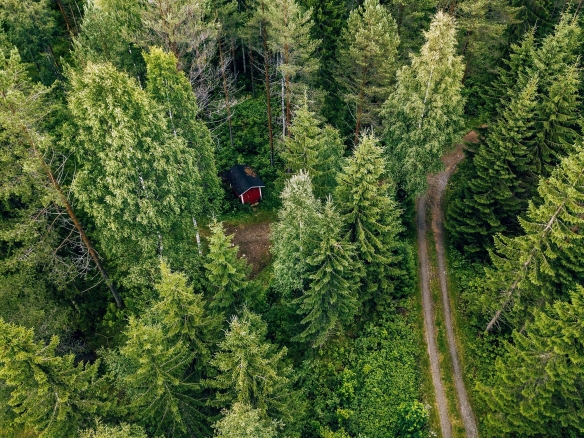 Natural Habitat