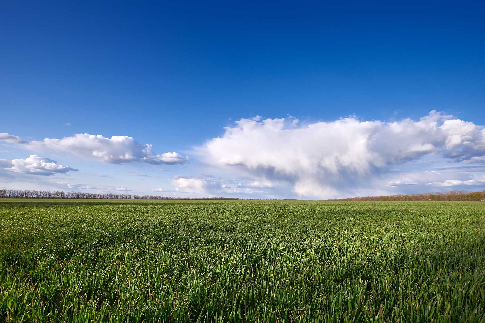 0060 Ranchlands